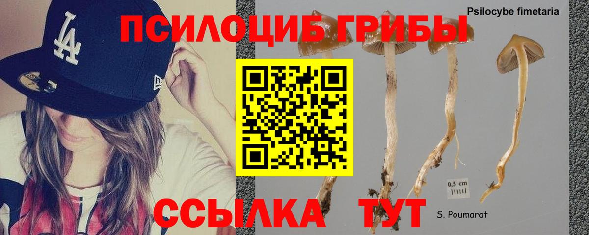 Фурманов  Галлюциногенные грибы Magic Shrooms  Вход с VPN  Галлюциногенные грибы мицелий 